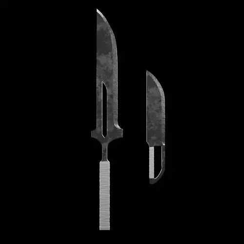 Ichigos True Shikai 3D model