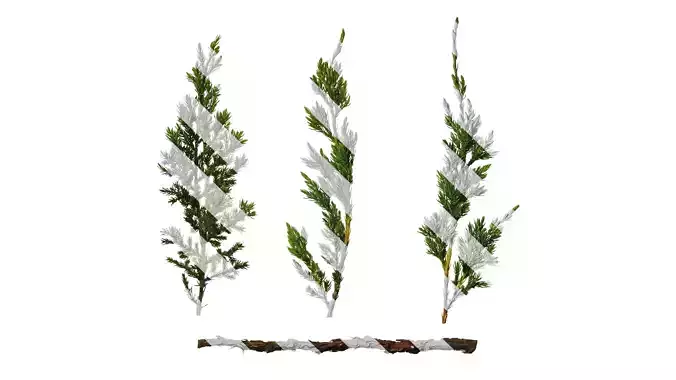 Anydrafts Sabina procumbens Atlas 11