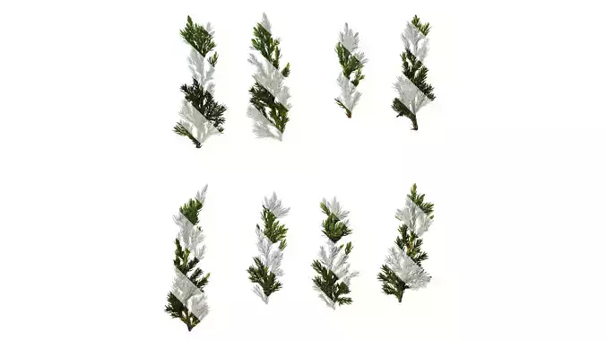 Anydrafts Sabina procumbens Atlas 13