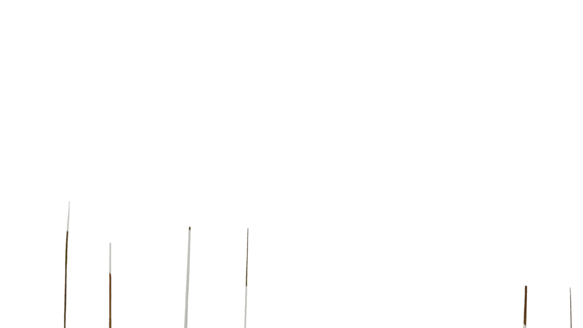 Anydrafts Pennisetum setaceum rubrum Leaf 01 Texture_2