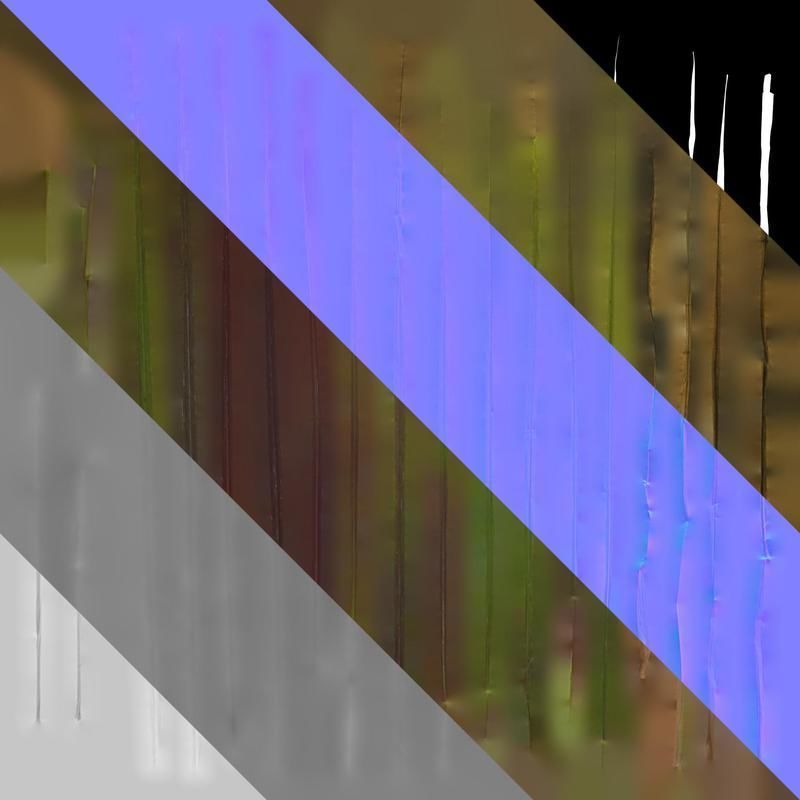 Anydrafts Pennisetum setaceum rubrum Leaf 03 Texture_8