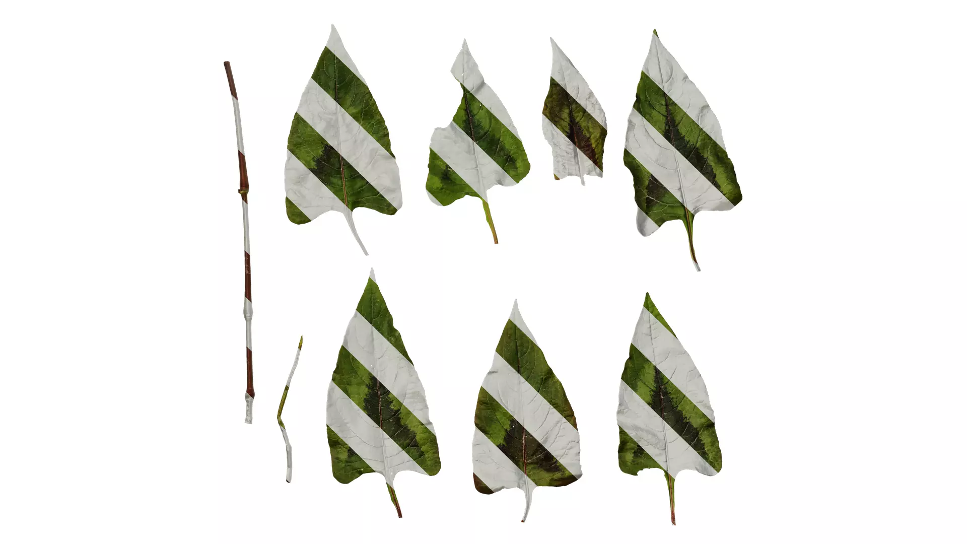 Anydrafts Persicaria runcinata sinensis Leaf 01 Texture_0