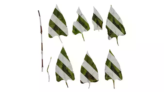 Anydrafts Persicaria runcinata sinensis Leaf 01