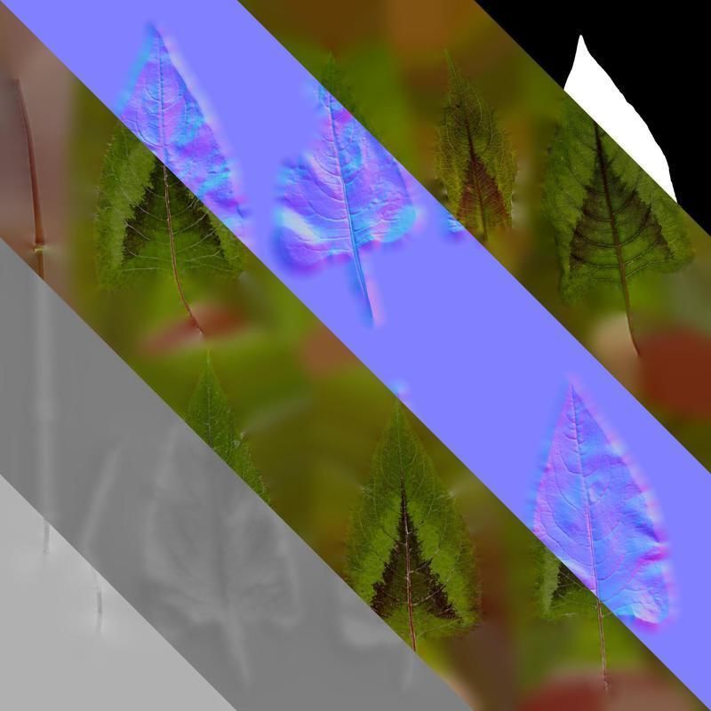 Anydrafts Persicaria runcinata sinensis Leaf 01 Texture_8