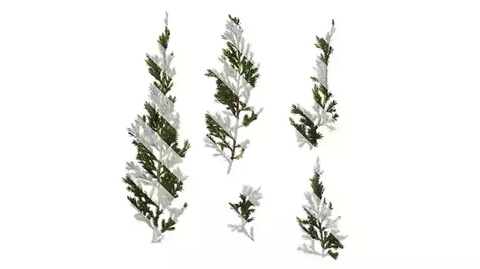 Anydrafts Sabina procumbens Atlas 15