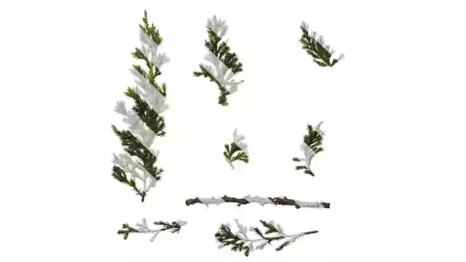 Anydrafts Sabina procumbens Atlas 16 Texture