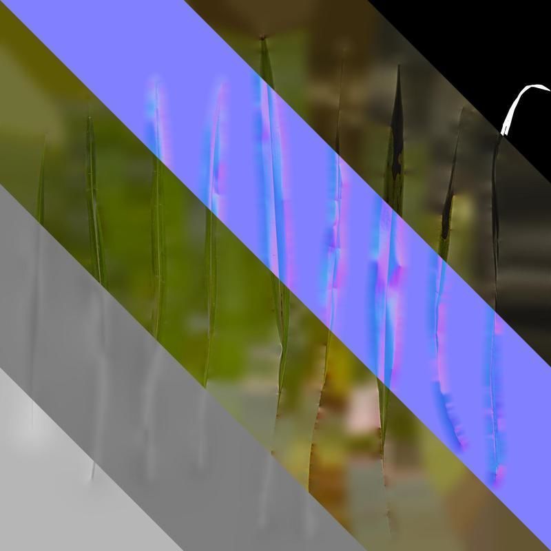 Anydrafts Phormium sundowner Leaf 02 Texture_8