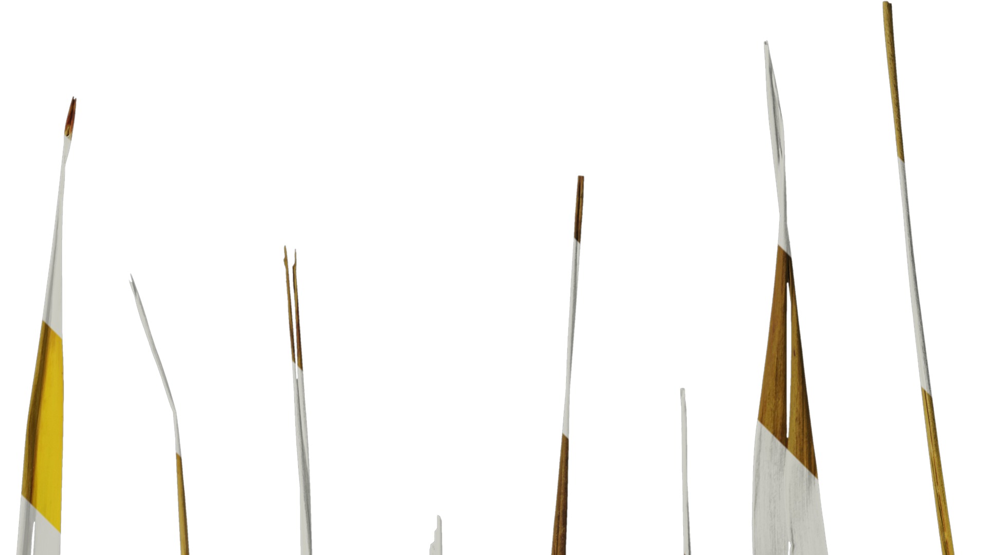 Anydrafts Phormium tenax Leaf 01 Texture_2