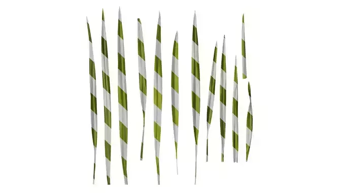 Anydrafts Phormium tenax Leaf 02