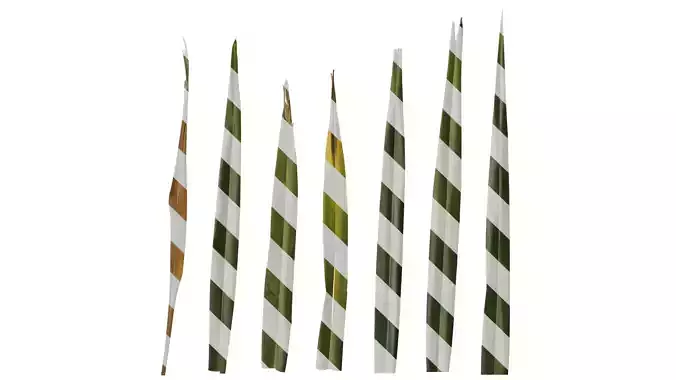 Anydrafts Phormium tenax Leaf 03