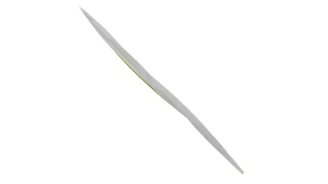 Anydrafts Phormium tenax variegatum Leaf 01