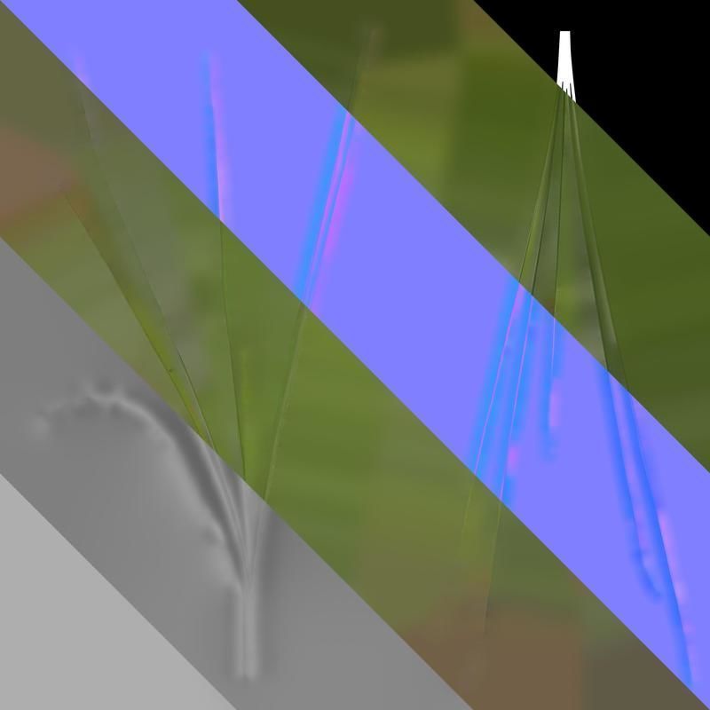 Anydrafts Phragmites australis Atlas 04 Texture_8