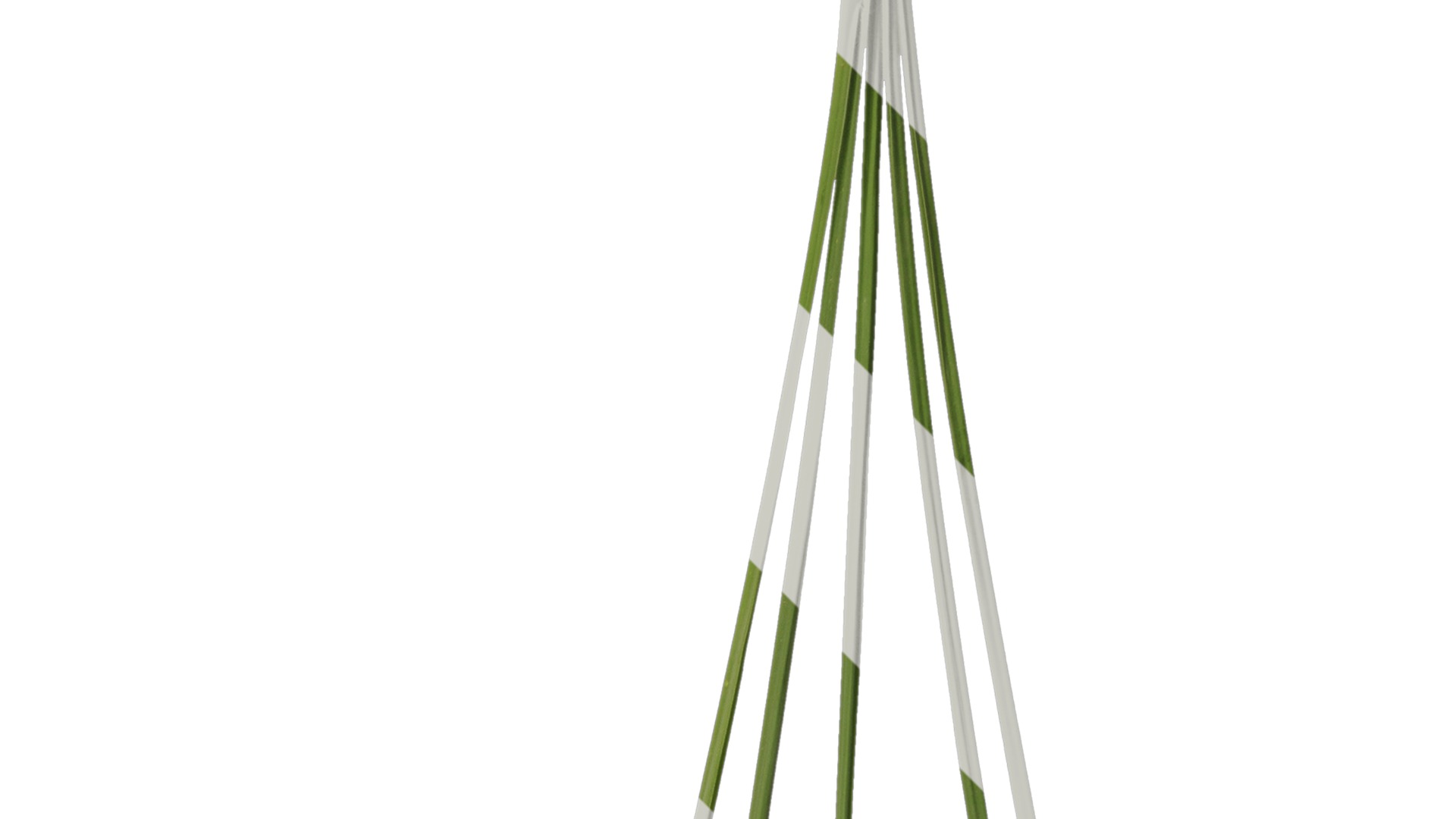 Anydrafts Phragmites australis Atlas 04 Texture_2