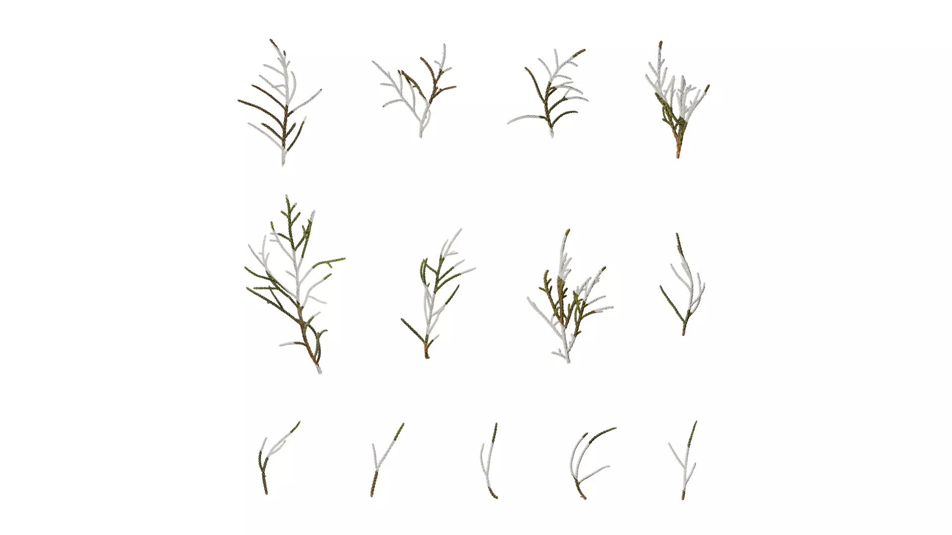 Anydrafts Sabina virginiana Atlas 02 Texture_0