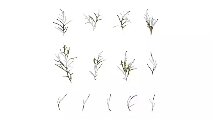 Anydrafts Sabina virginiana Atlas 02 Texture