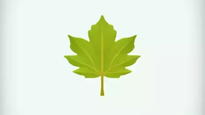 Green leaf  3D Game ready Model