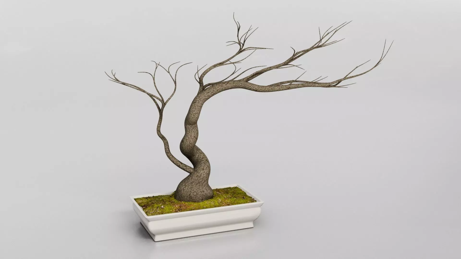 Bonsai Dry Tree Low-poly 3D model