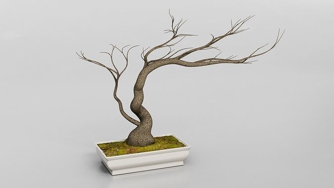 Bonsai Dry Tree Low-poly 3D model