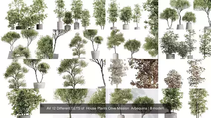 AV 12 Different SETS of  House Plants Olive Mission  Arbequina 3D Model Collection