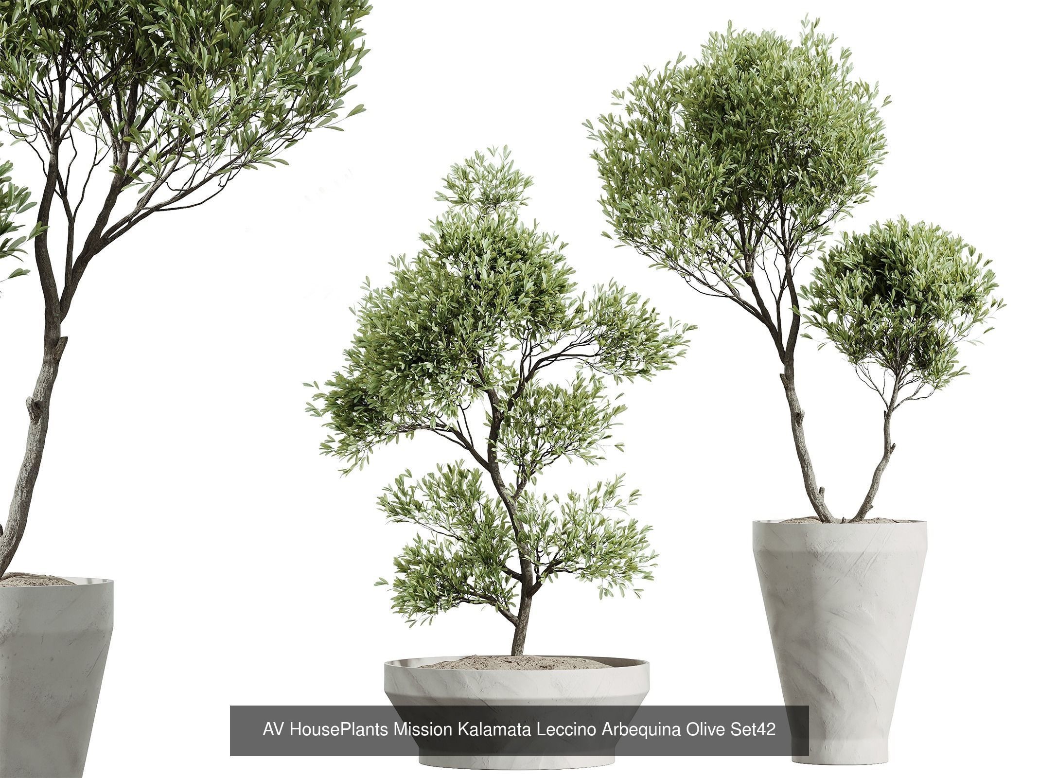 AV 12 Different SETS of  House Plants Olive Mission  Arbequina 3D Model Collection_6