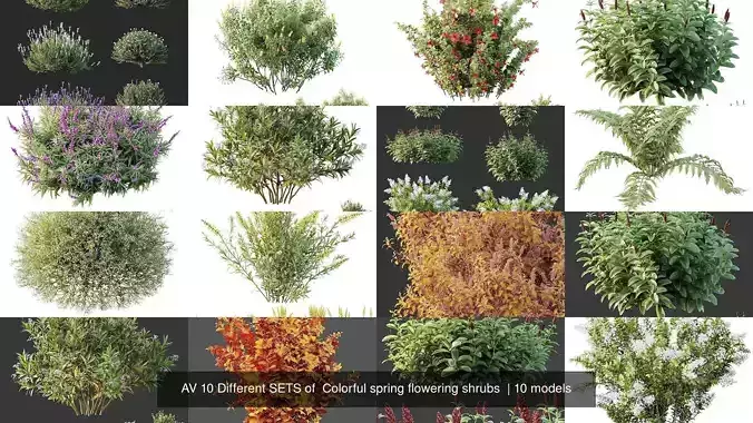 AV 10 Different SETS of  Colorful spring flowering shrubs  3D Model Collection