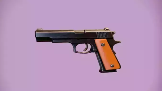 handgun with wooden grip