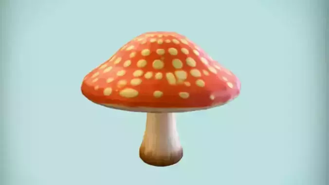 Amanita muscaria mushroom