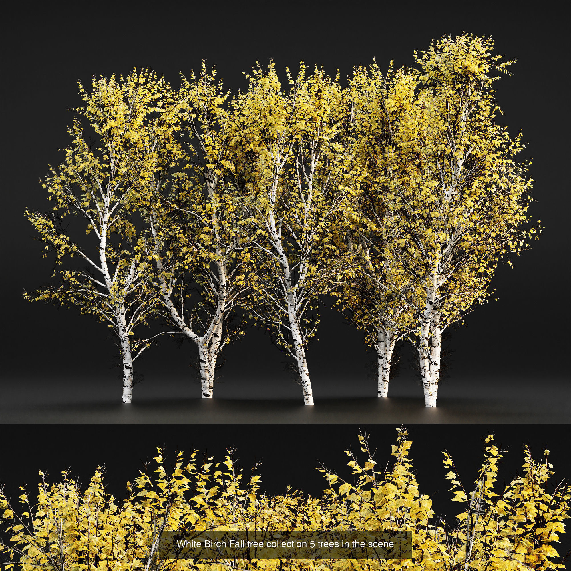 AV 20 Different SETS of Dry autumn and winter trees 3D Model Collection_21