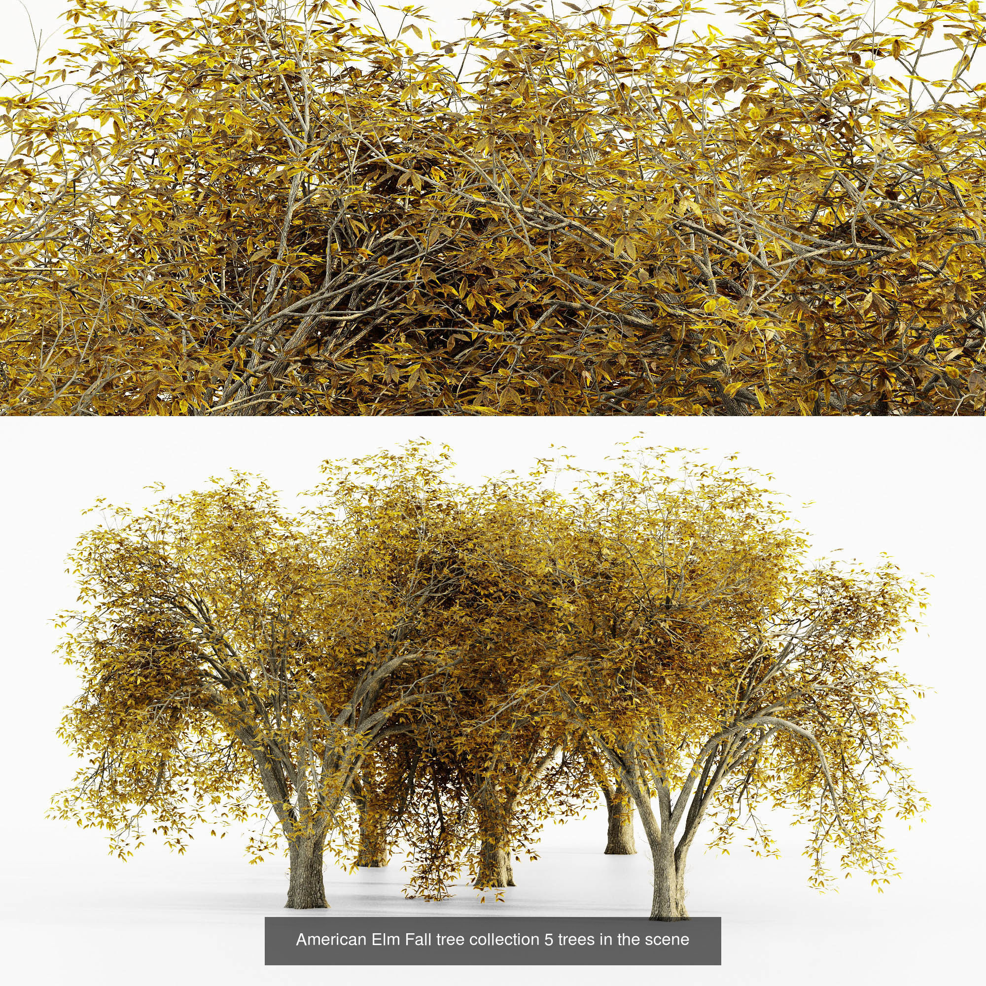 AV 20 Different SETS of Dry autumn and winter trees 3D Model Collection_9