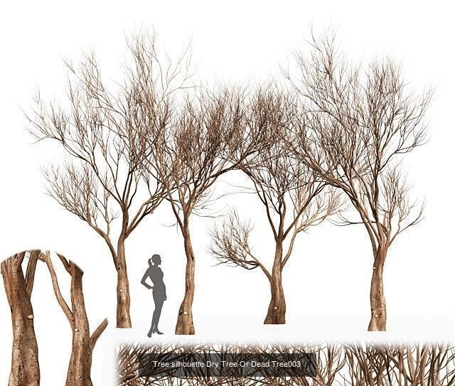 AV 20 Different SETS of Dry autumn and winter trees 3D Model Collection_12