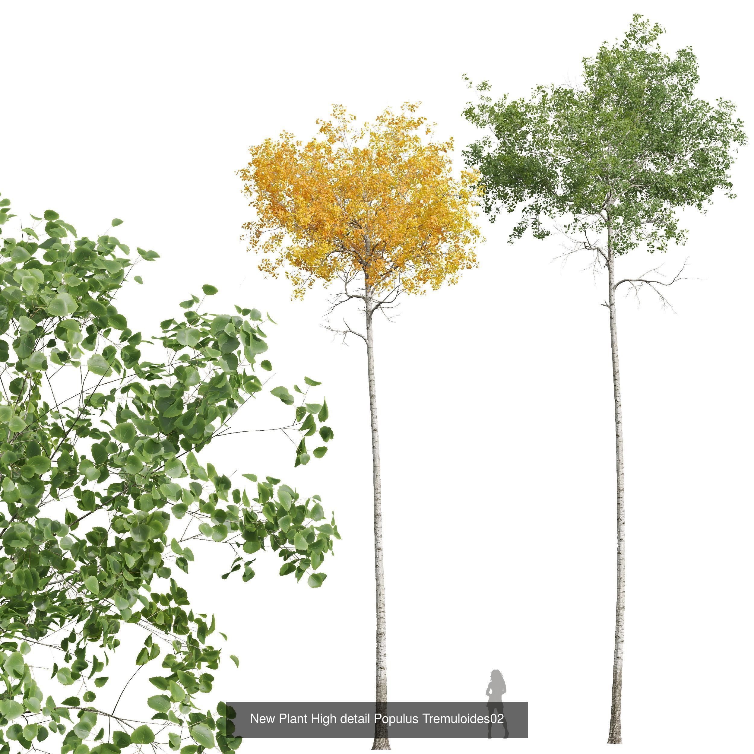 AV 20 Different SETS of Dry autumn and winter trees 3D Model Collection_38