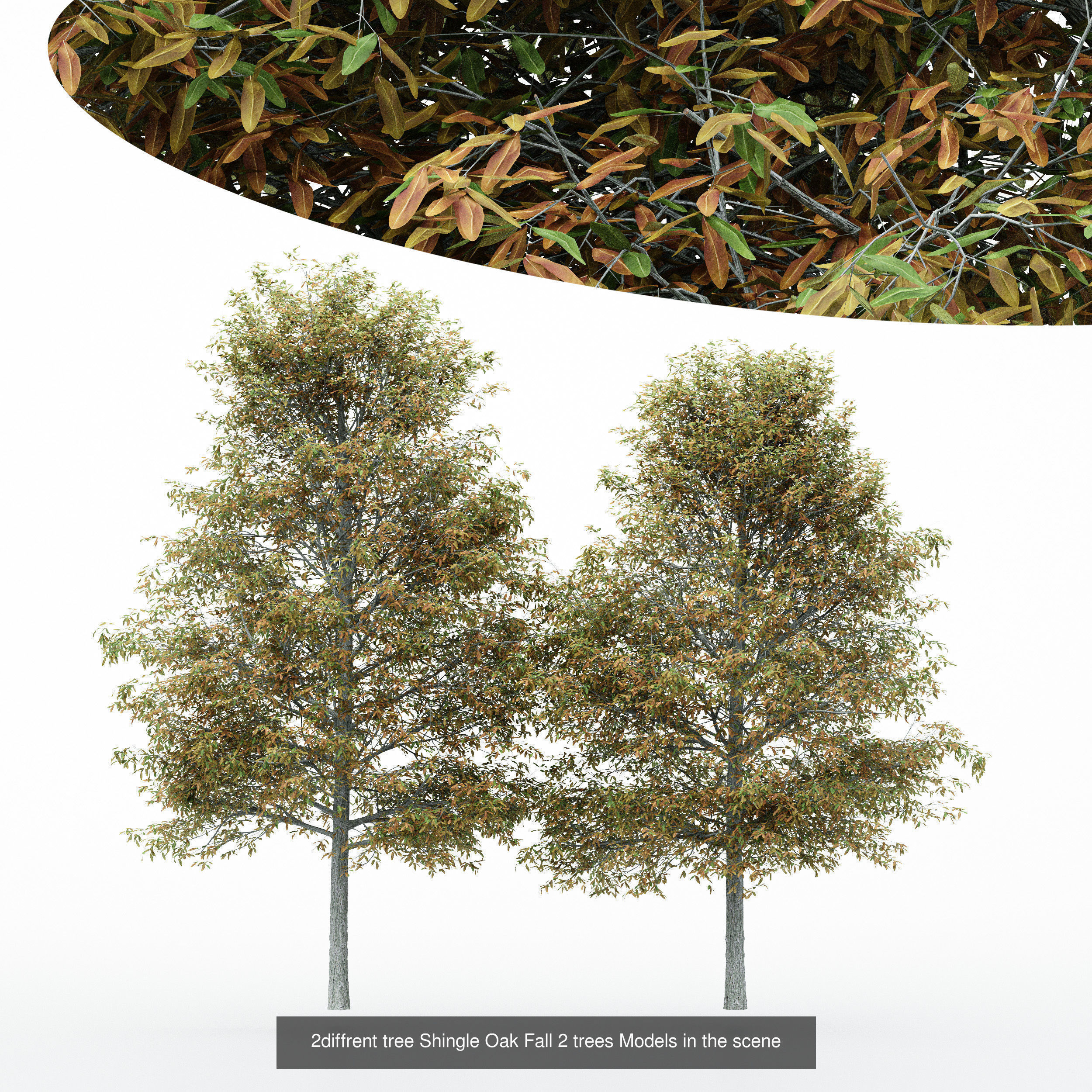AV 20 Different SETS of Dry autumn and winter trees 3D Model Collection_25
