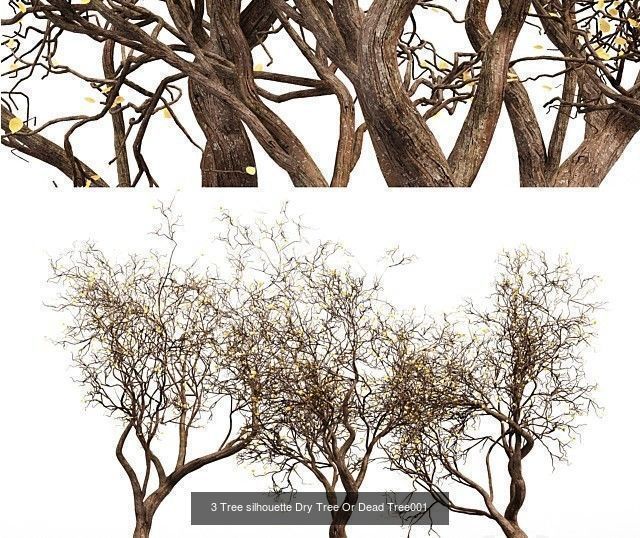 AV 20 Different SETS of Dry autumn and winter trees 3D Model Collection_24