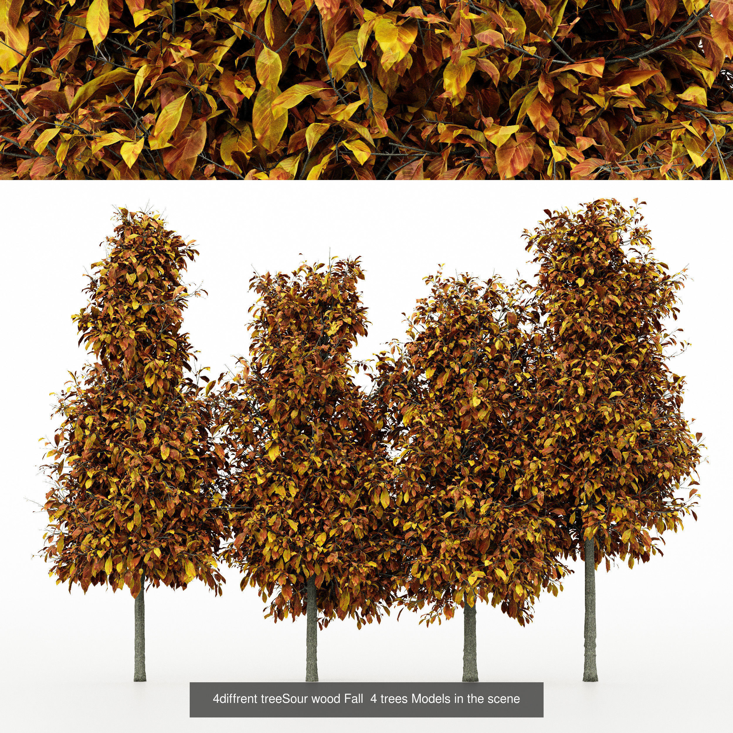 AV 20 Different SETS of Dry autumn and winter trees 3D Model Collection_26