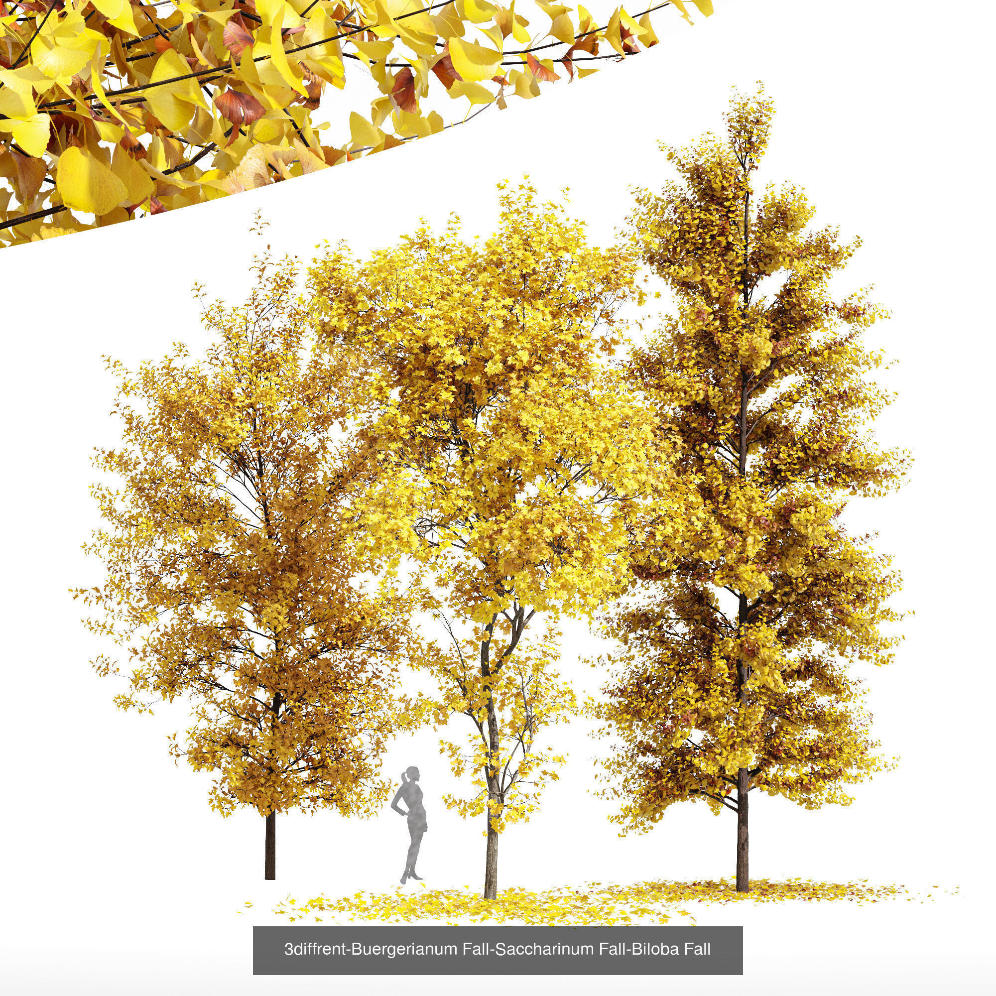 AV 20 Different SETS of Dry autumn and winter trees 3D Model Collection_34