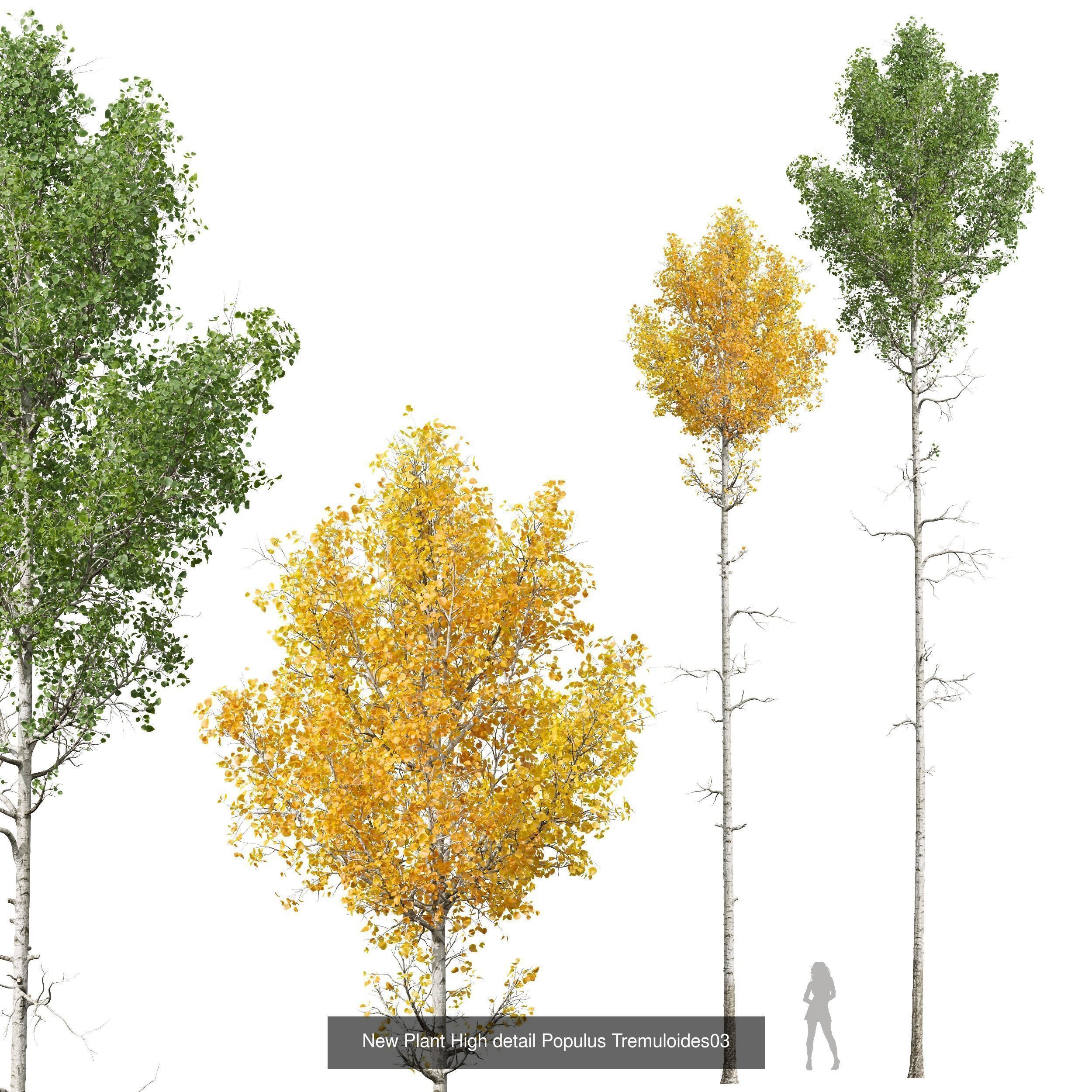 AV 20 Different SETS of Dry autumn and winter trees 3D Model Collection_35