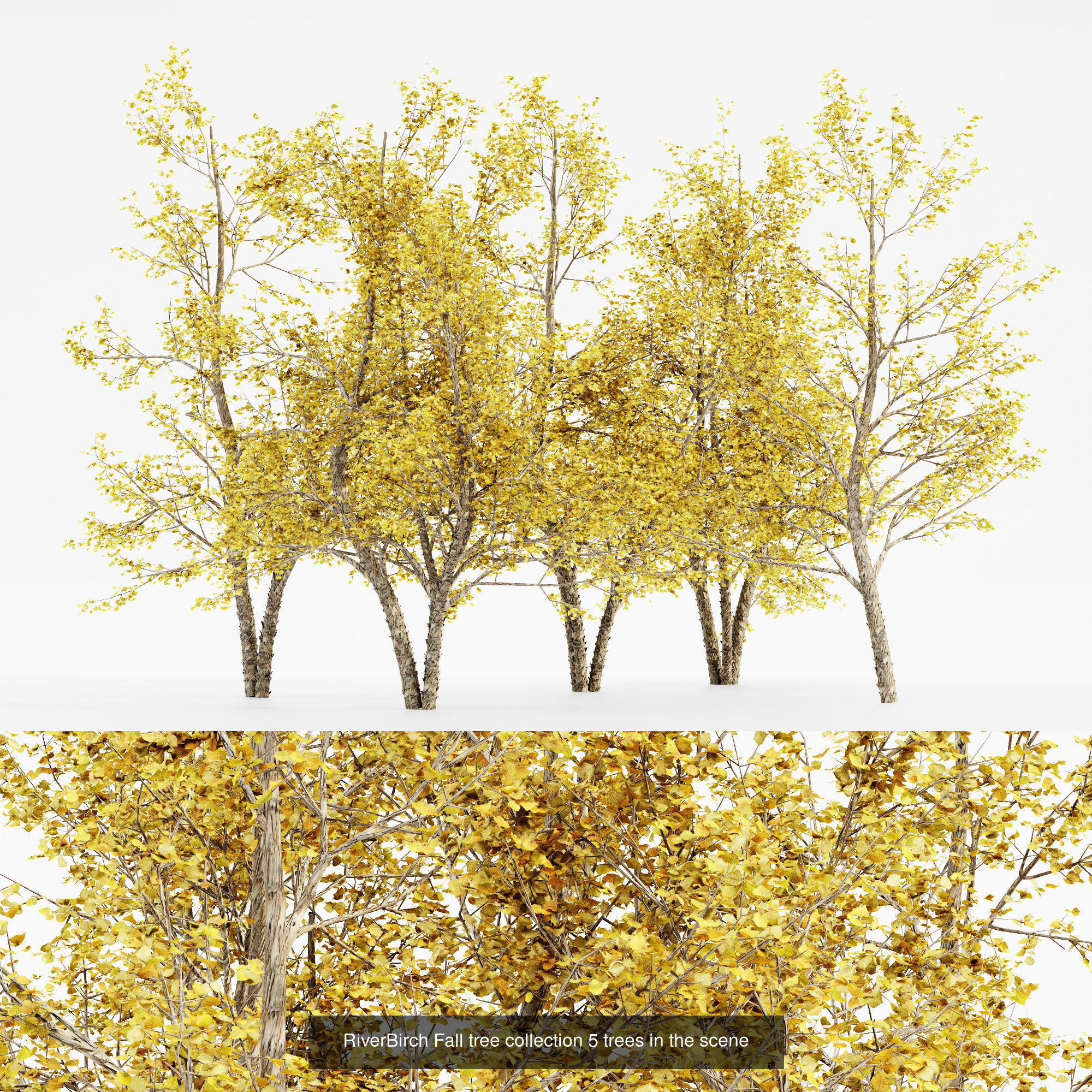 AV 20 Different SETS of Dry autumn and winter trees 3D Model Collection_4