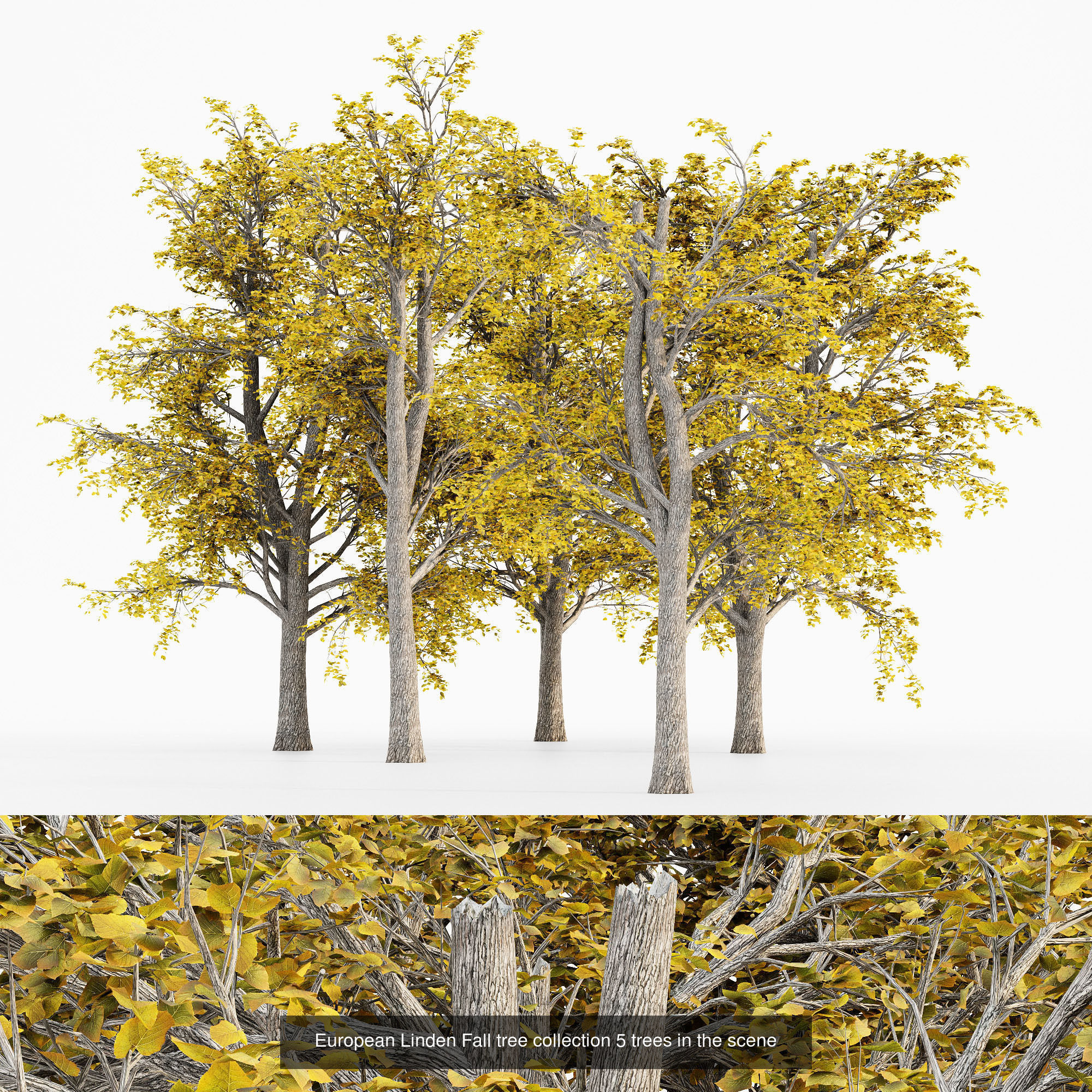 AV 20 Different SETS of Dry autumn and winter trees 3D Model Collection_14