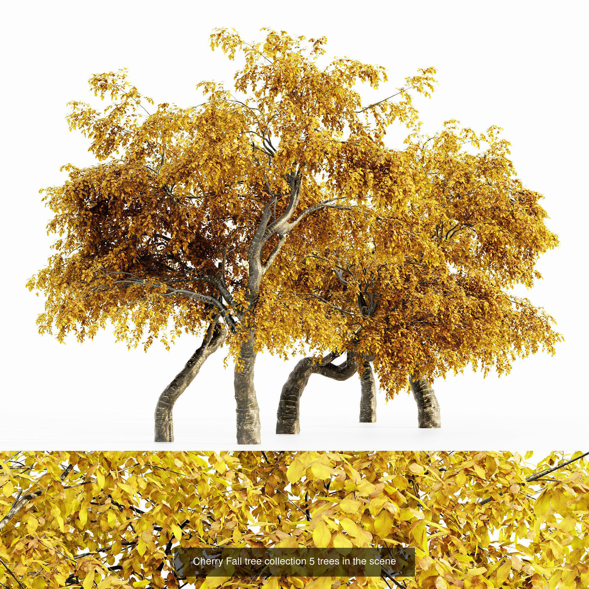 AV 20 Different SETS of Dry autumn and winter trees 3D Model Collection_8