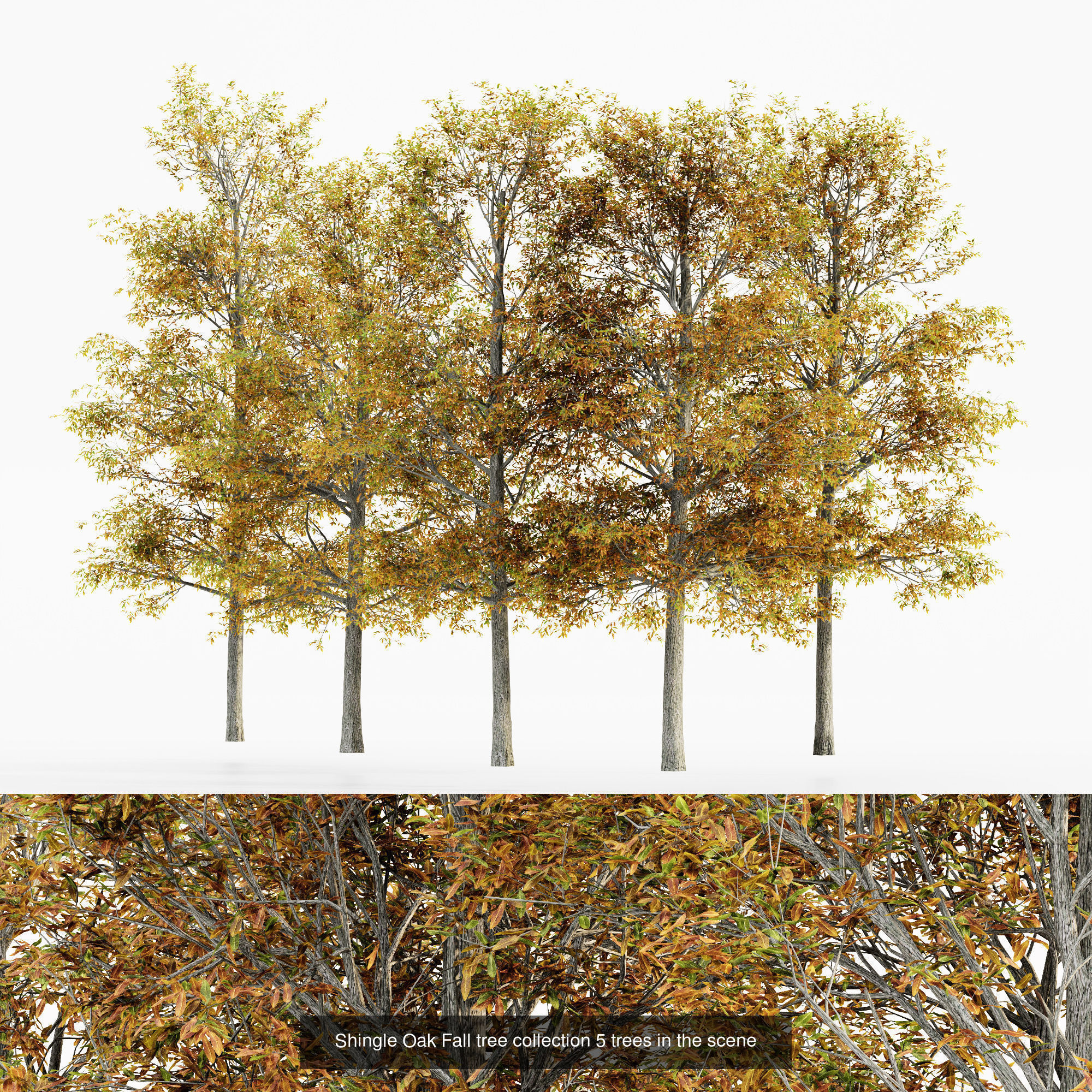 AV 20 Different SETS of Dry autumn and winter trees 3D Model Collection_20