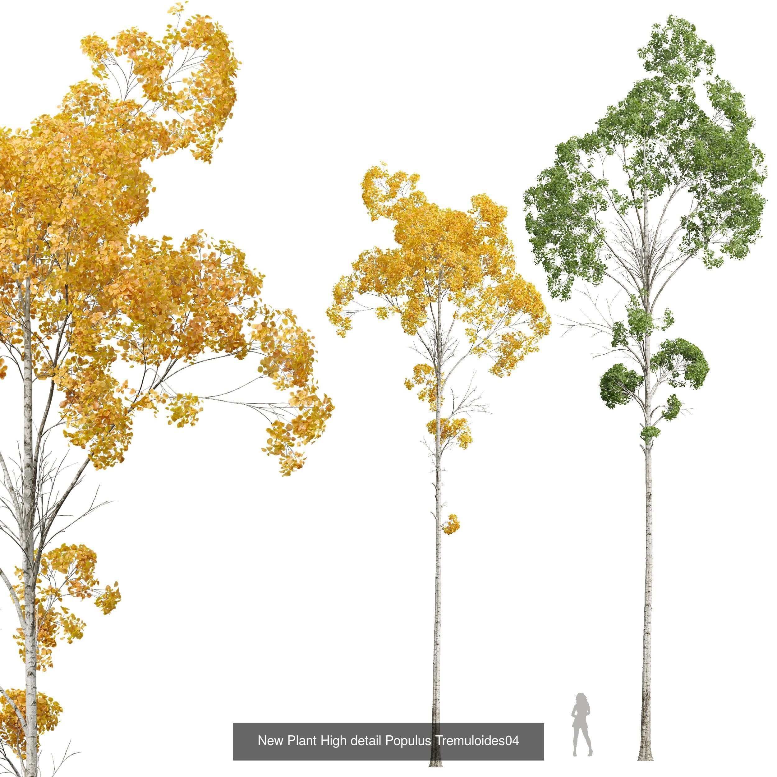 AV 20 Different SETS of Dry autumn and winter trees 3D Model Collection_36