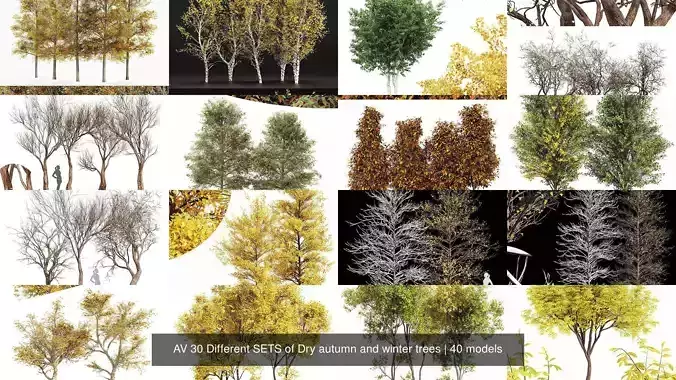 AV 20 Different SETS of Dry autumn and winter trees 3D Model Collection