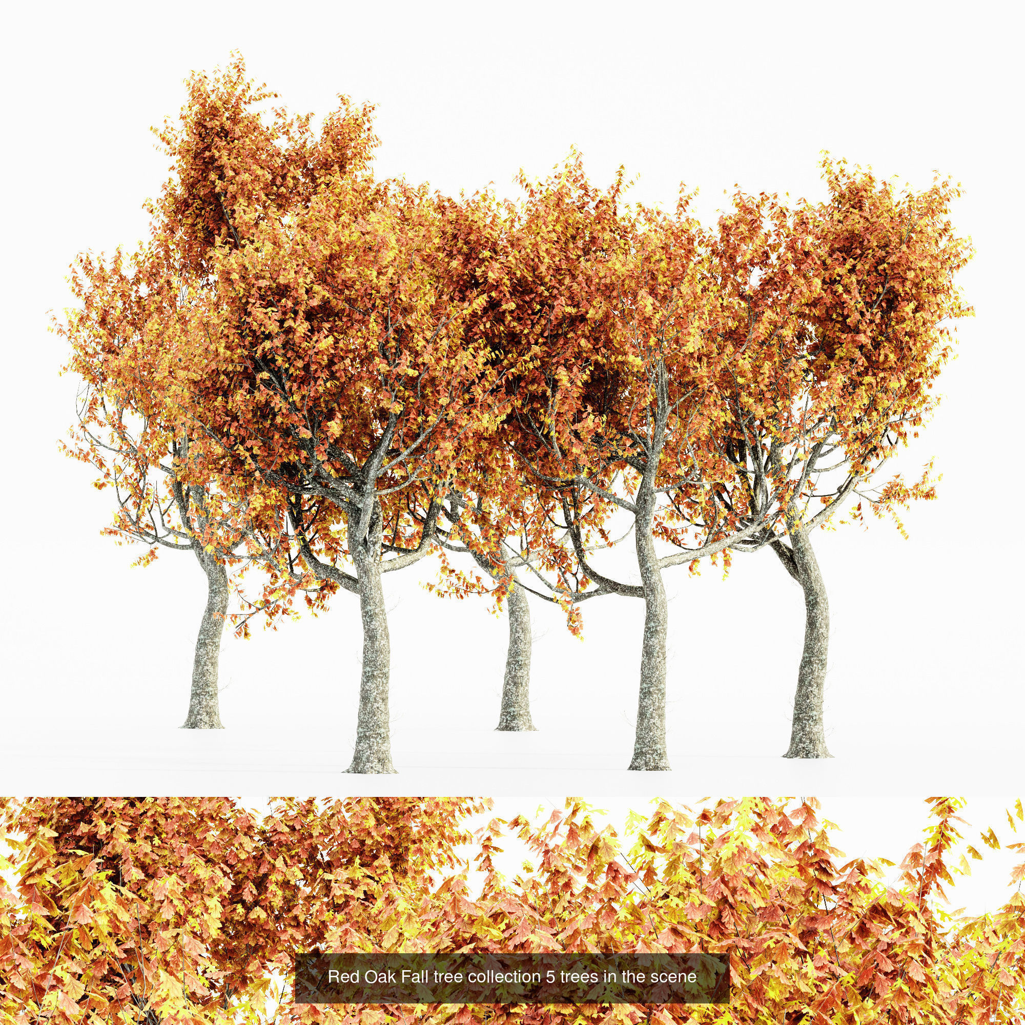 AV 20 Different SETS of Dry autumn and winter trees 3D Model Collection_19
