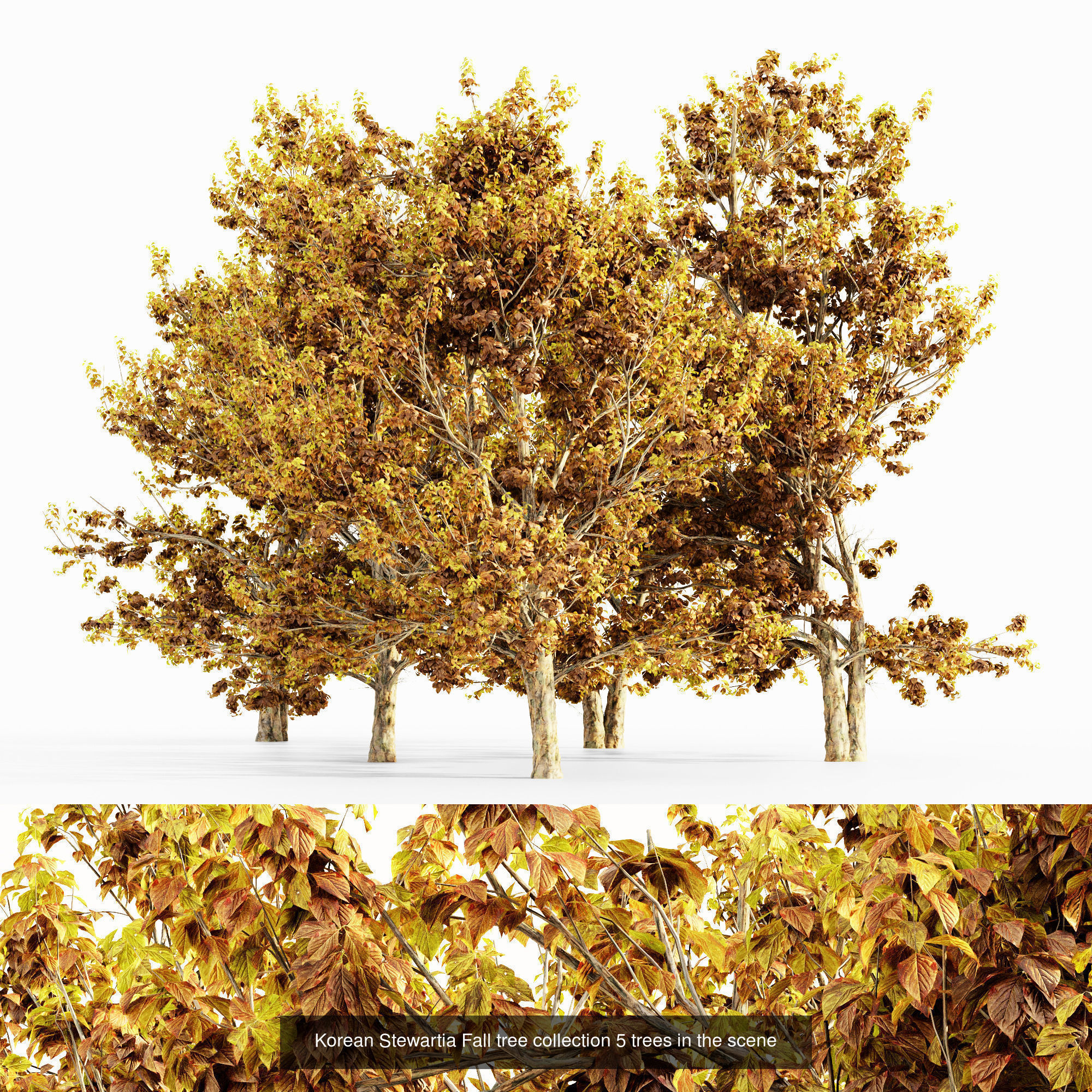 AV 20 Different SETS of Dry autumn and winter trees 3D Model Collection_17