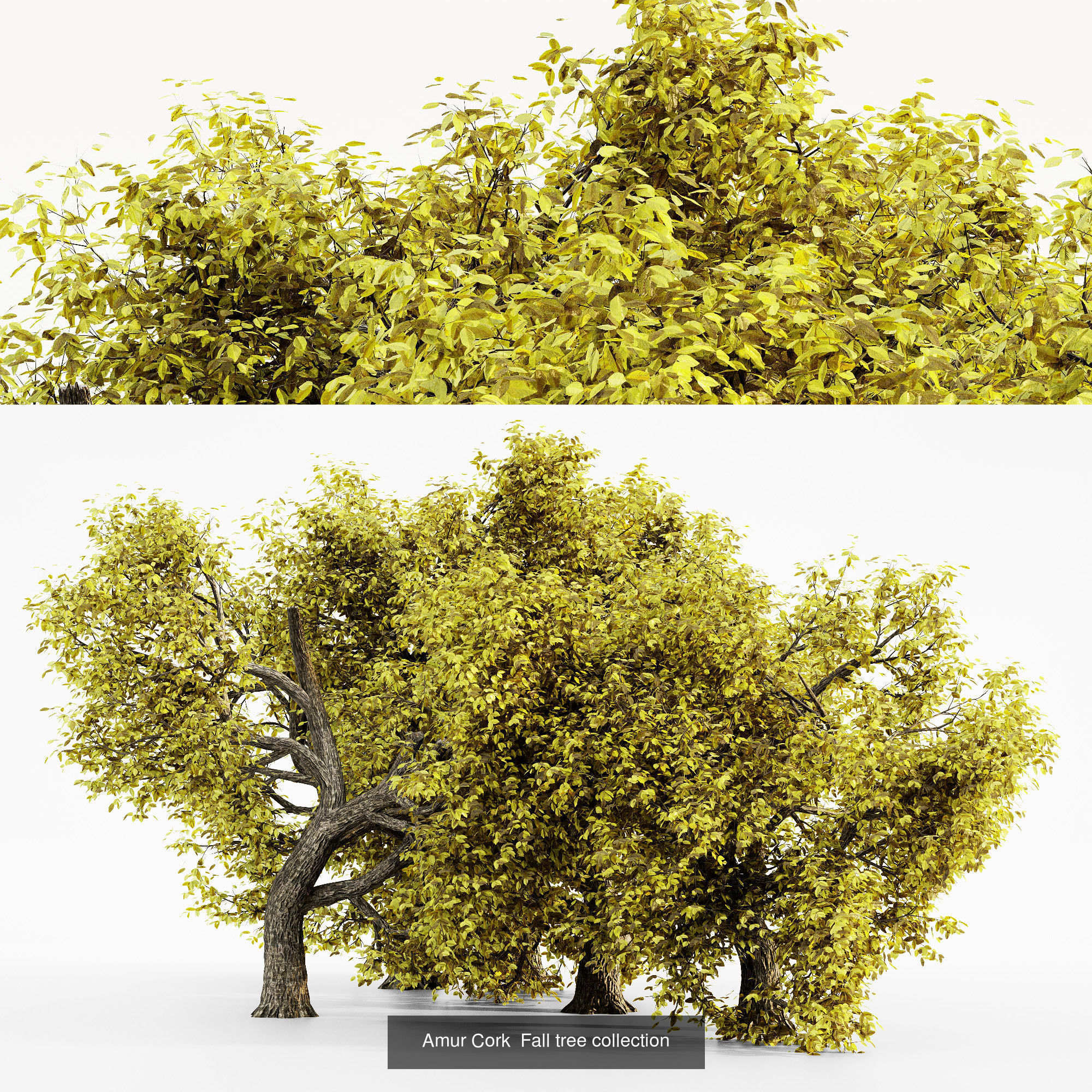 AV 20 Different SETS of Dry autumn and winter trees 3D Model Collection_22