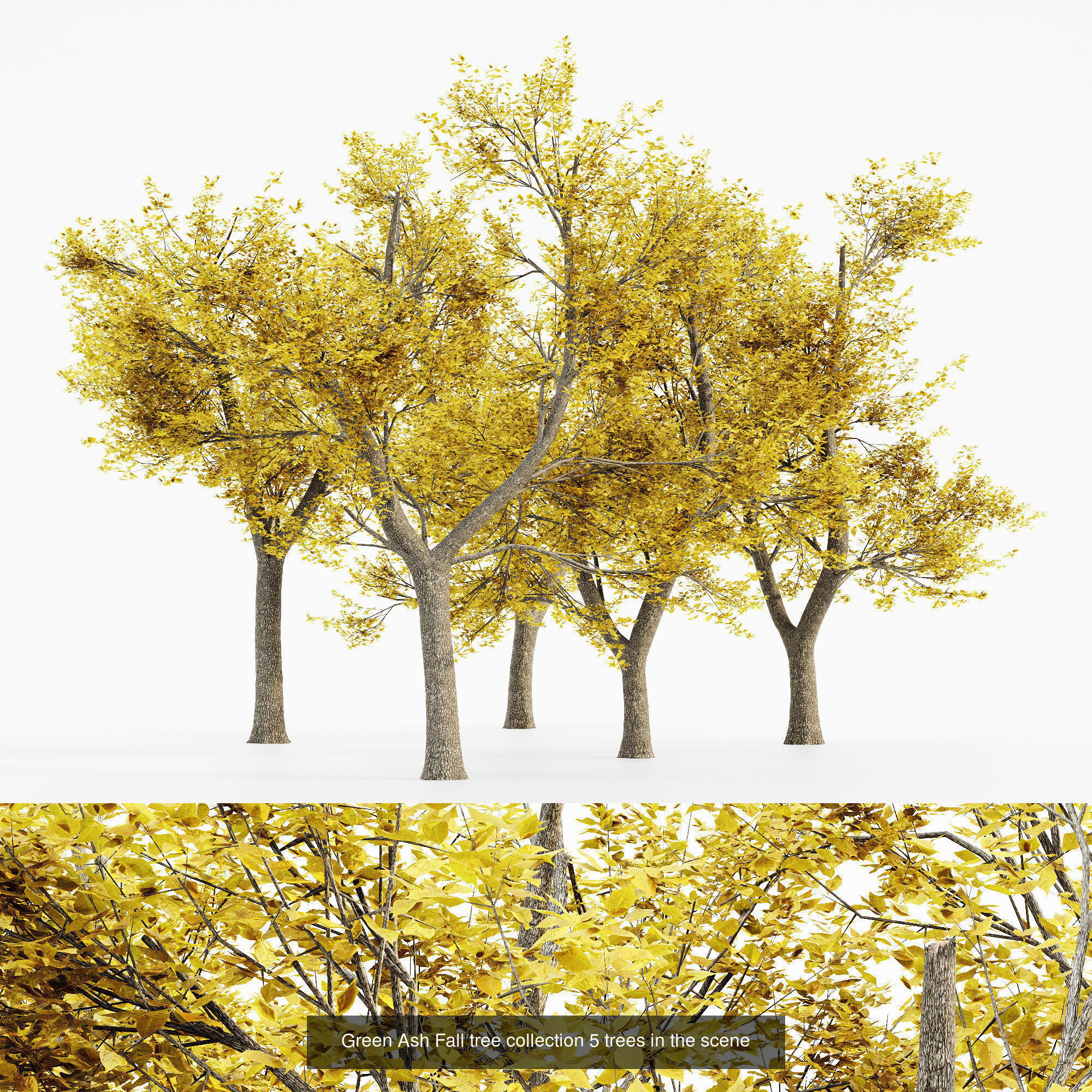 AV 20 Different SETS of Dry autumn and winter trees 3D Model Collection_15
