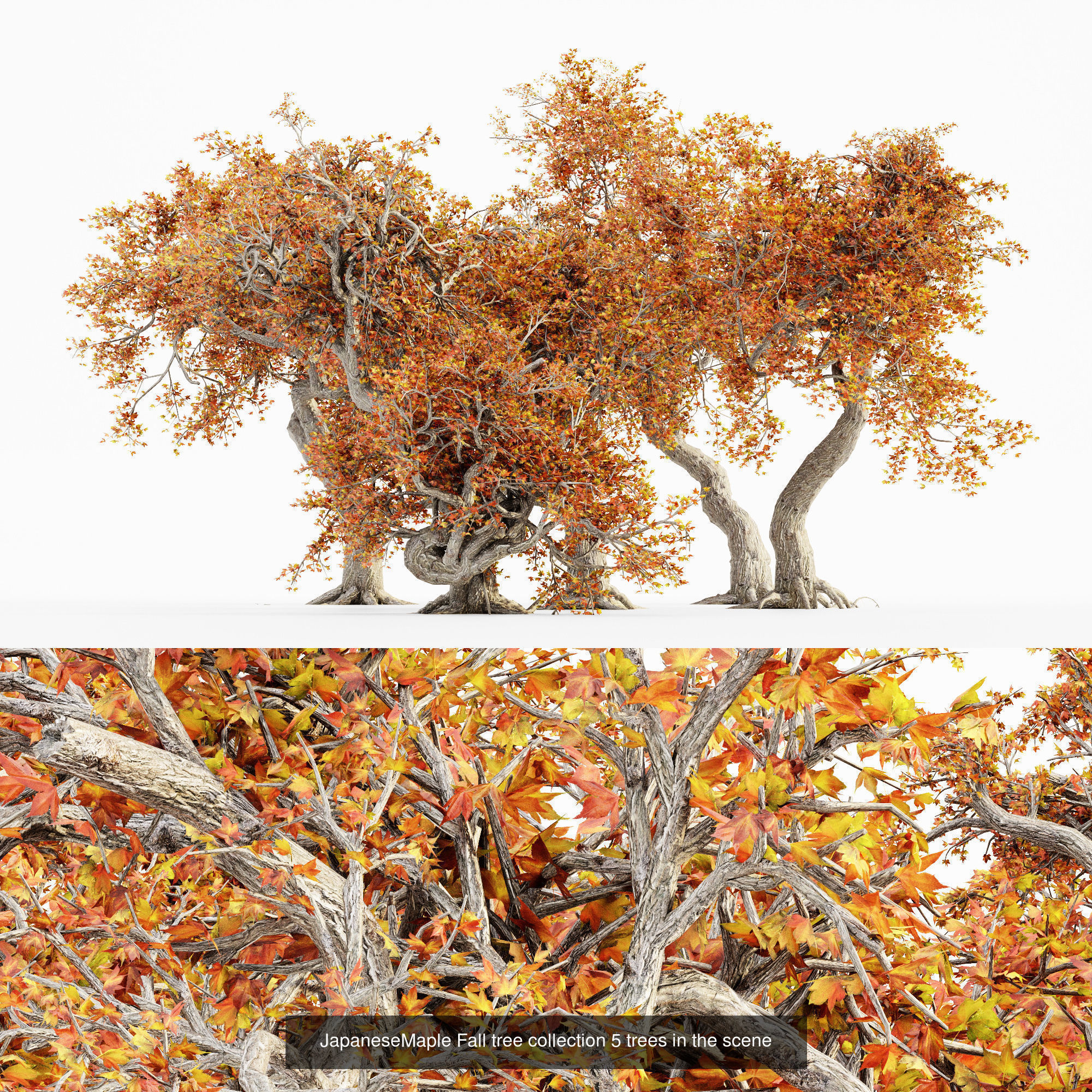 AV 20 Different SETS of Dry autumn and winter trees 3D Model Collection_16
