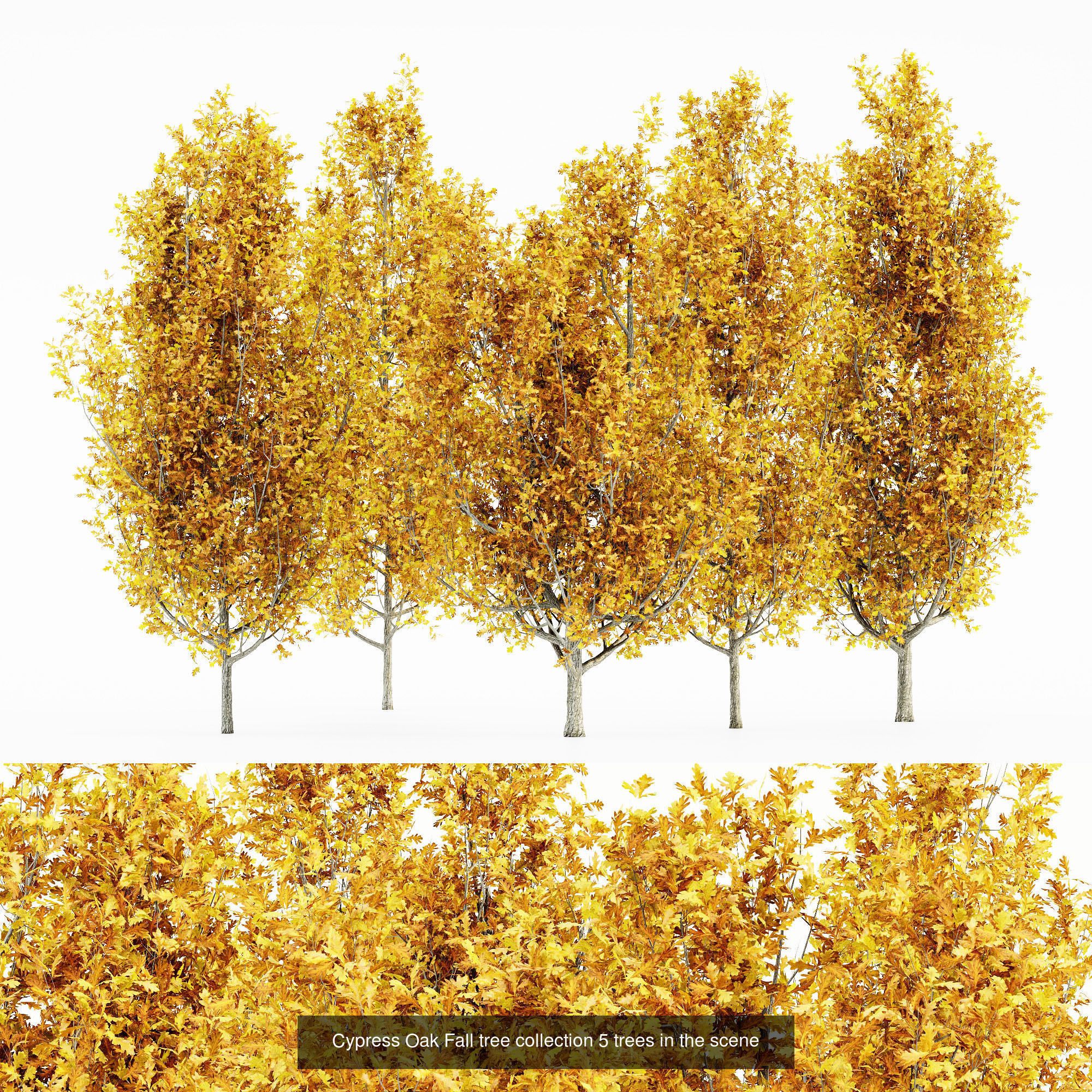 AV 20 Different SETS of Dry autumn and winter trees 3D Model Collection_13