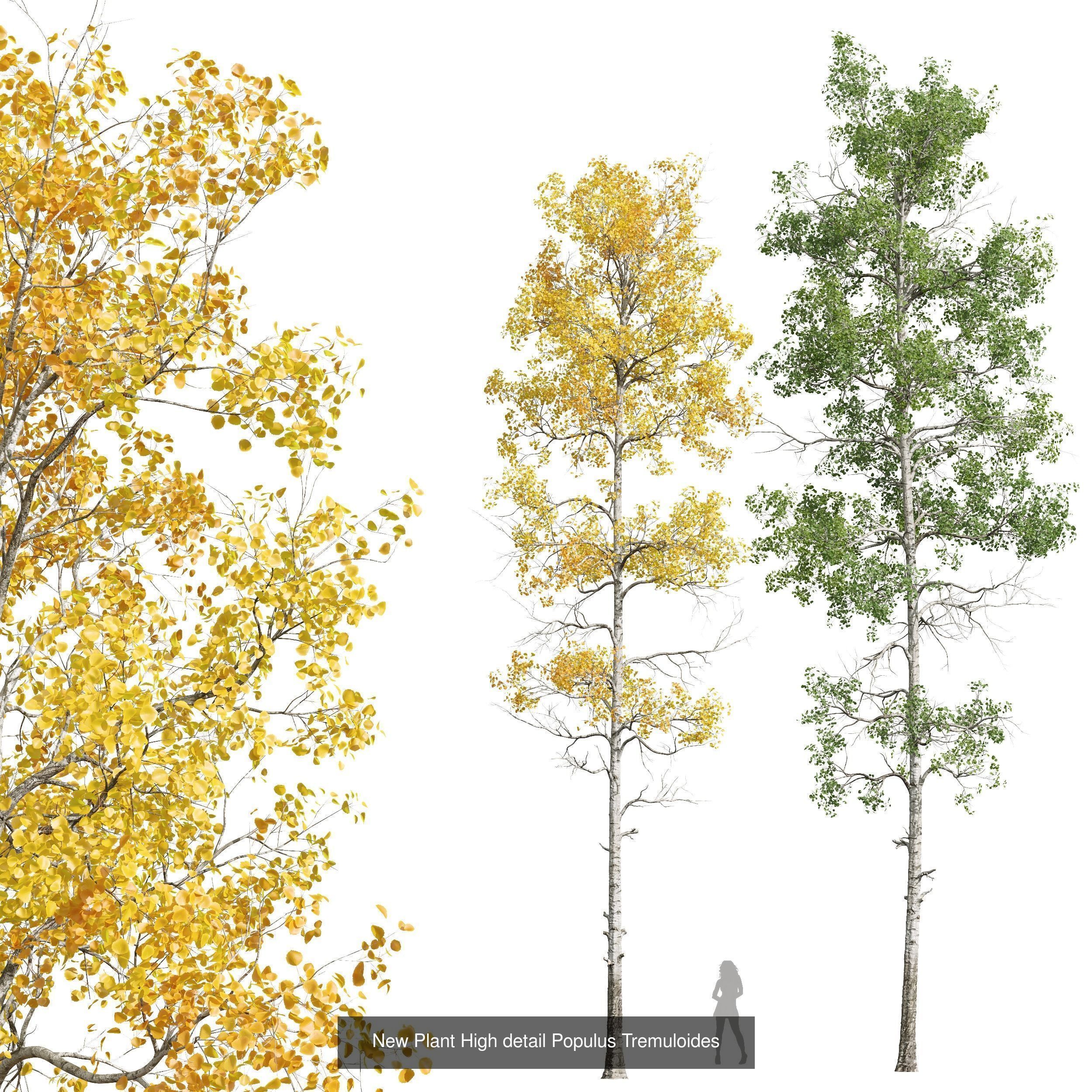 AV 20 Different SETS of Dry autumn and winter trees 3D Model Collection_37