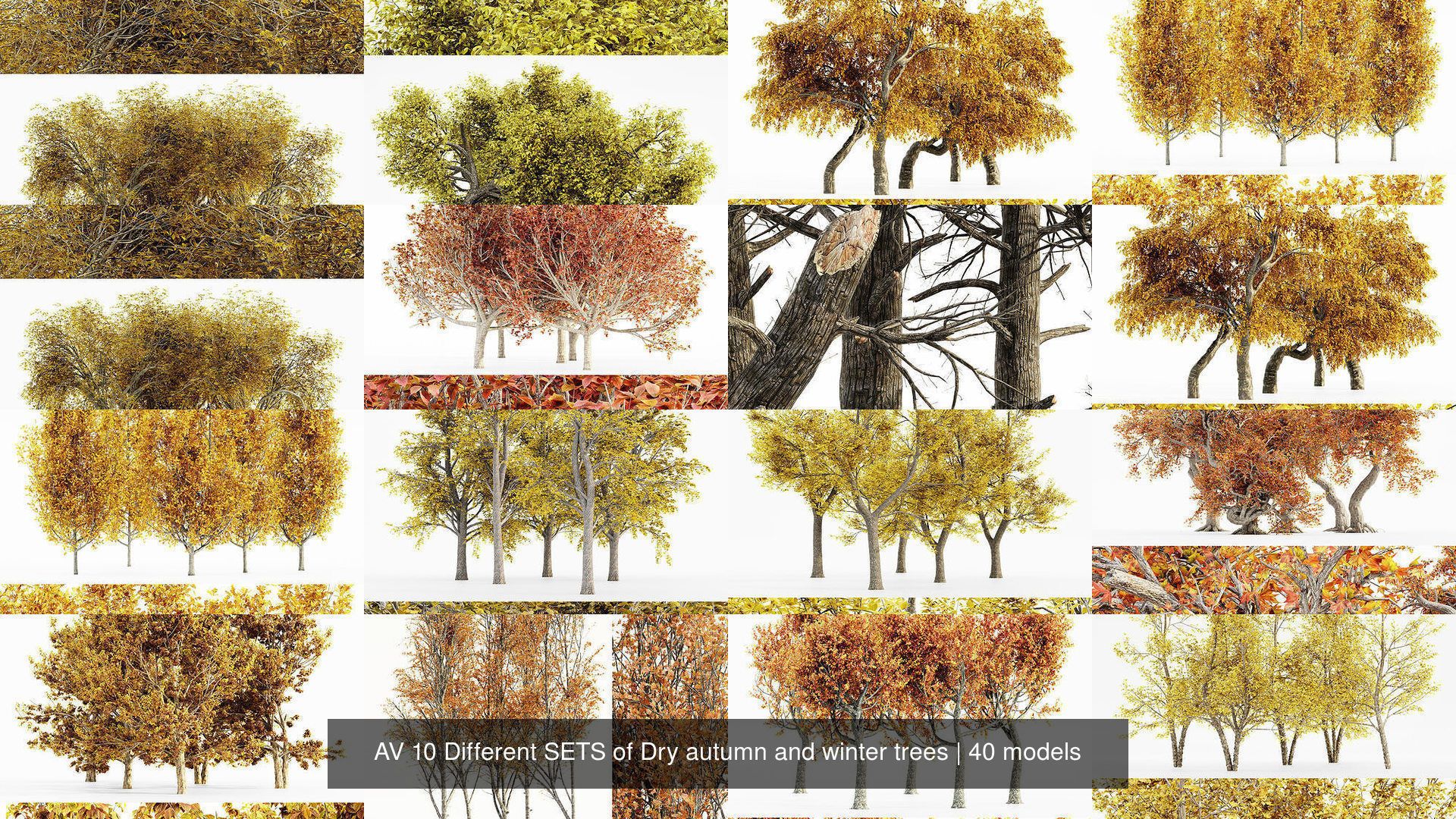 AV 20 Different SETS of Dry autumn and winter trees 3D Model Collection_2